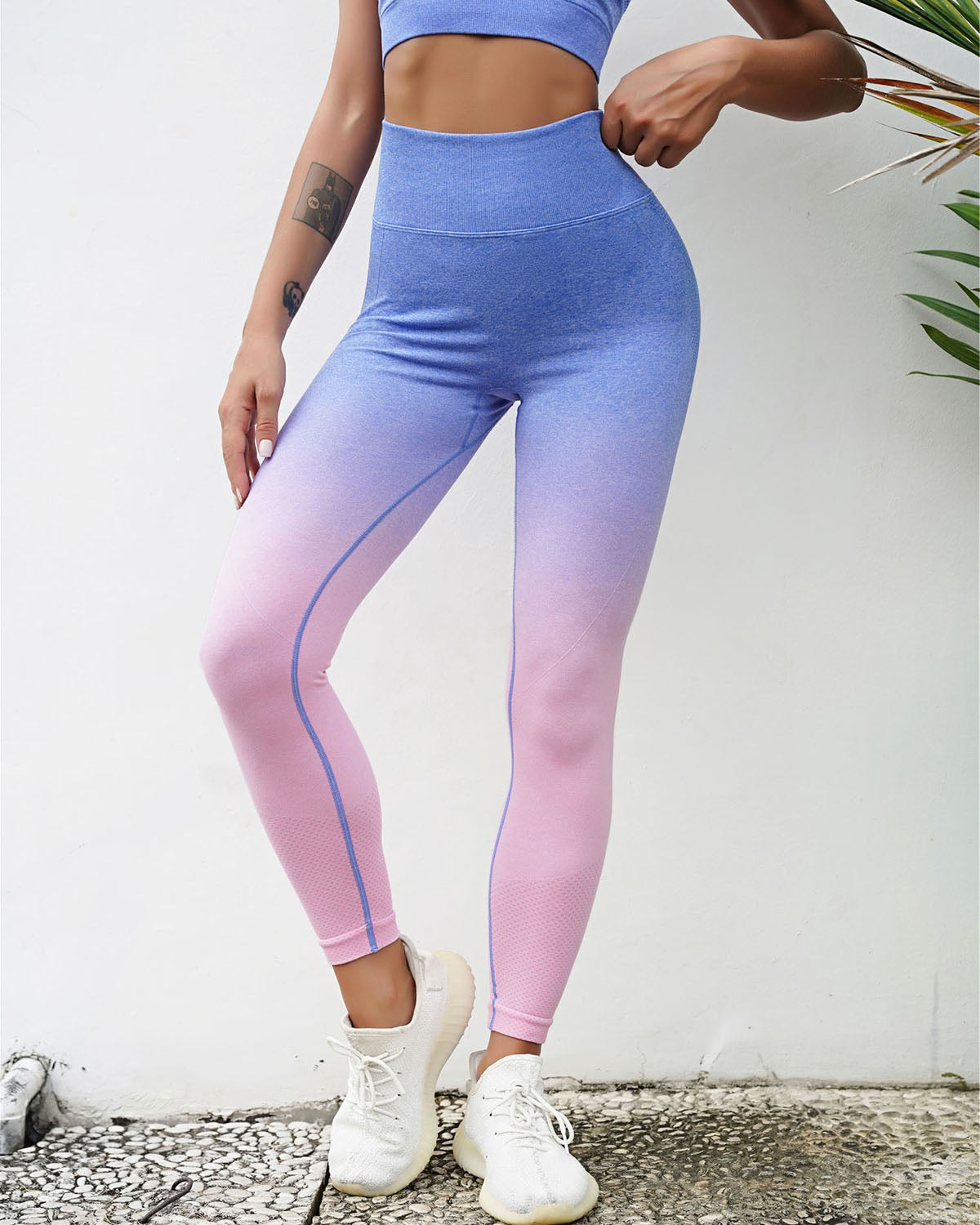 Pharıssa Gianna Seamless Leggings